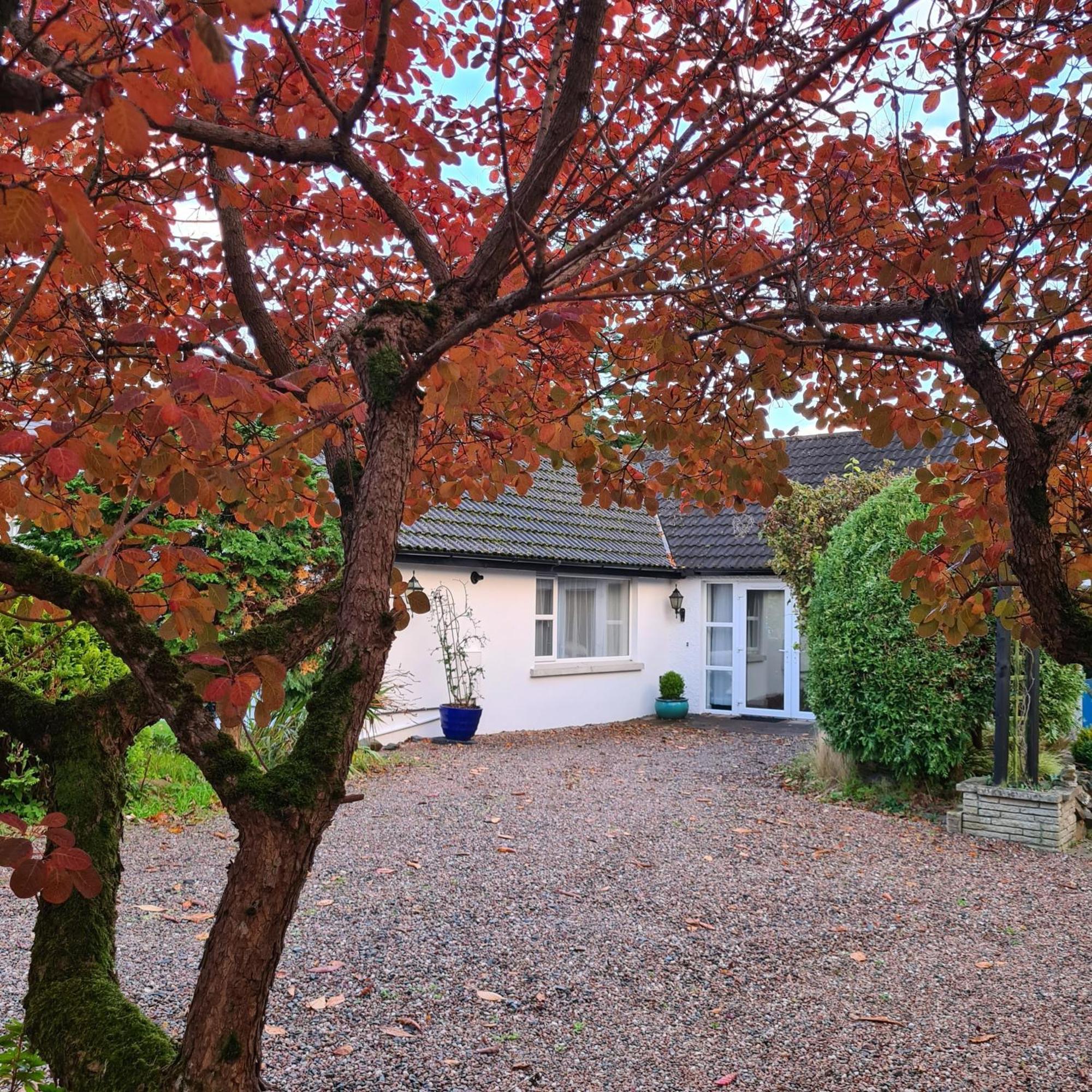 Nara Seaside Retreat Apartman Cultra Kültér fotó