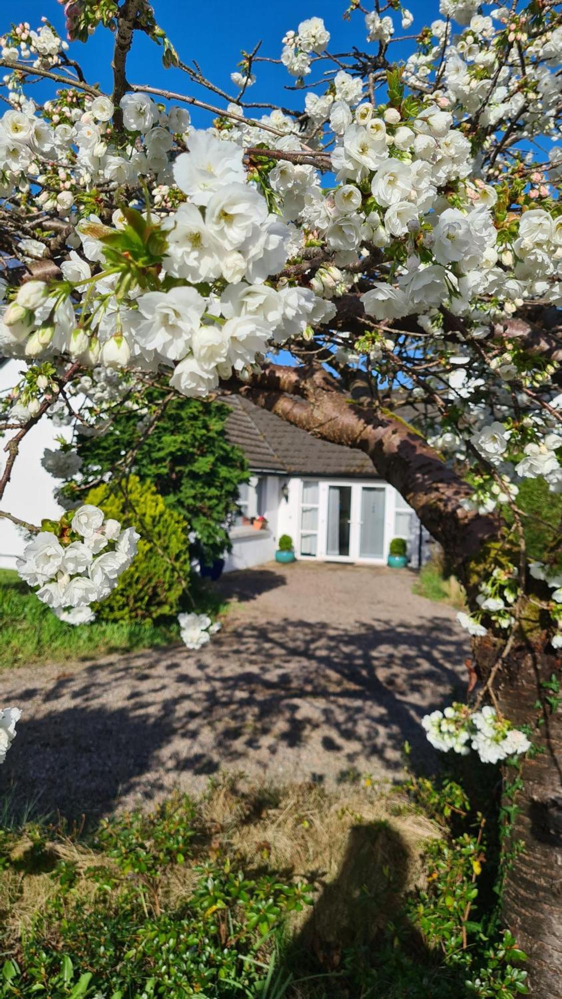 Nara Seaside Retreat Apartman Cultra Kültér fotó